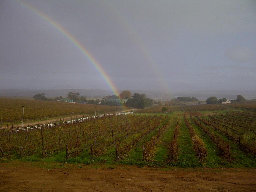 Dieu Donne Stellenbosch Zewnętrze zdjęcie