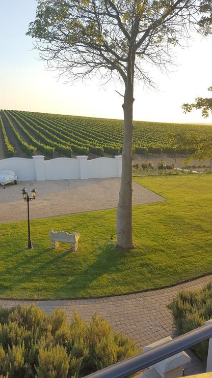 Dieu Donne Stellenbosch Zewnętrze zdjęcie