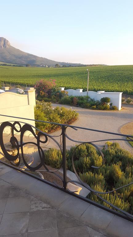 Dieu Donne Stellenbosch Zewnętrze zdjęcie