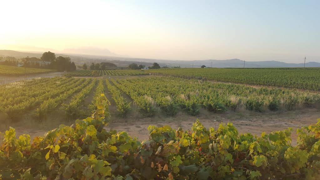 Dieu Donne Stellenbosch Zewnętrze zdjęcie